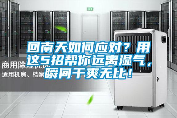 回南天如何應(yīng)對？用這5招幫你遠(yuǎn)離濕氣，瞬間干爽無比！