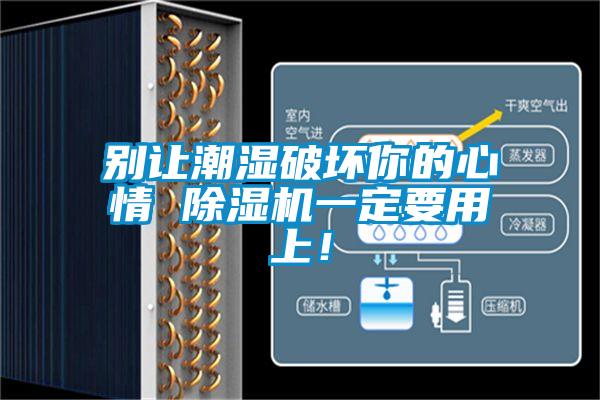 別讓潮濕破壞你的心情 除濕機一定要用上！
