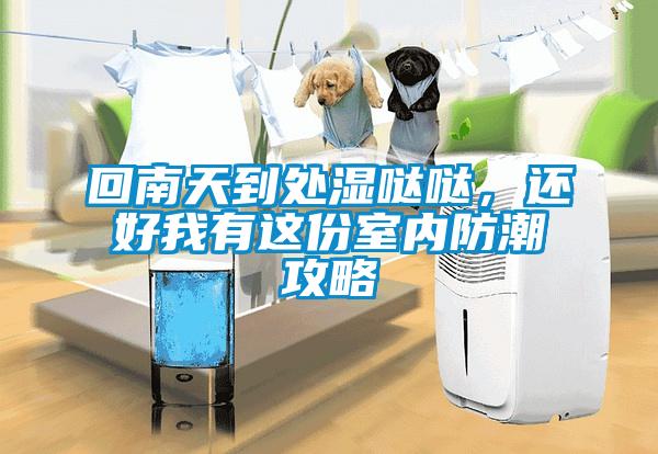 回南天到處濕噠噠，還好我有這份室內(nèi)防潮攻略