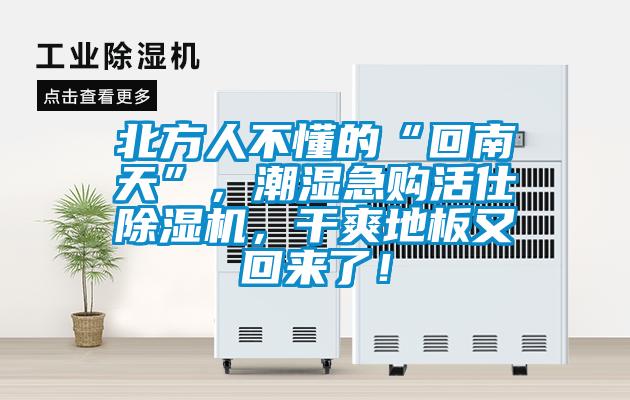 北方人不懂的“回南天”，潮濕急購(gòu)活仕除濕機(jī)，干爽地板又回來(lái)了！