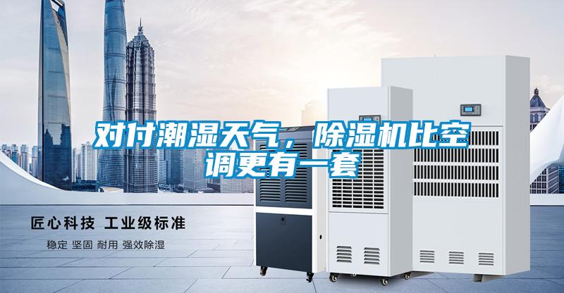 對付潮濕天氣，除濕機比空調(diào)更有一套