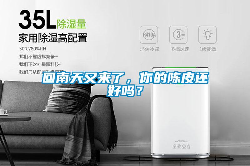 回南天又來了，你的陳皮還好嗎？
