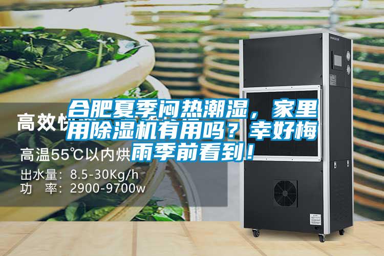 合肥夏季悶熱潮濕，家里用除濕機有用嗎？幸好梅雨季前看到！