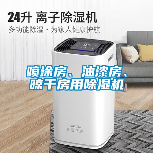 噴涂房、油漆房、晾干房用除濕機(jī)