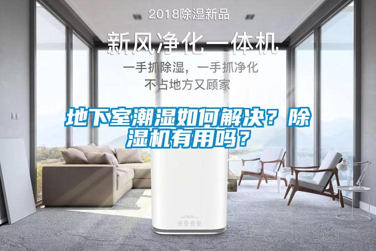 地下室潮濕如何解決？除濕機有用嗎？