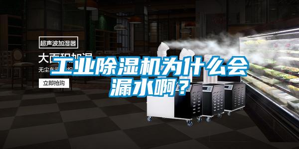 工業(yè)除濕機(jī)為什么會(huì)漏水??？