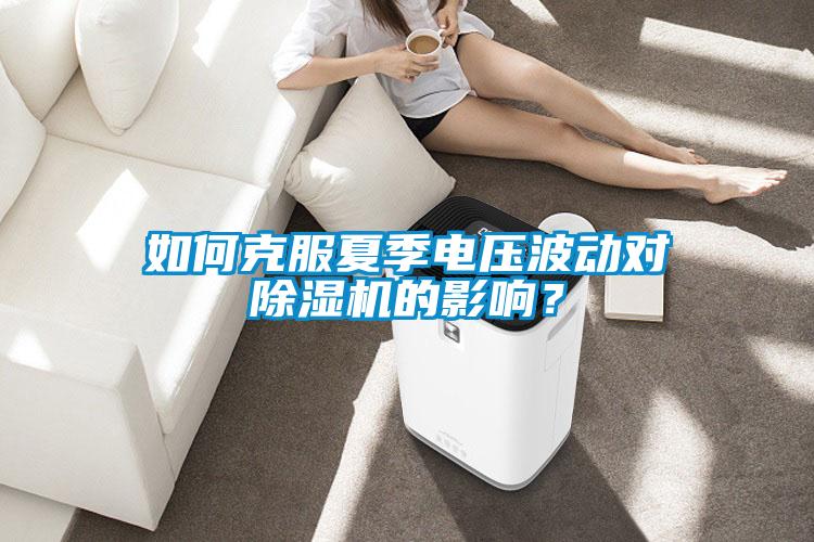如何克服夏季電壓波動(dòng)對(duì)除濕機(jī)的影響？