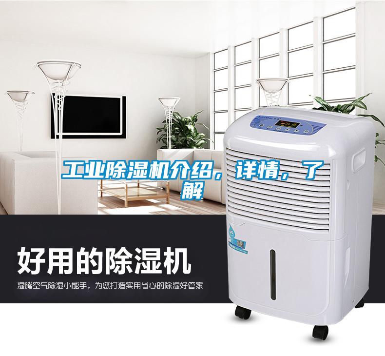工業(yè)除濕機(jī)介紹，詳情，了解