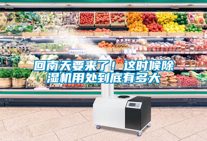 回南天要來了！這時候除濕機用處到底有多大