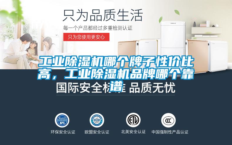 工業(yè)除濕機哪個牌子性價比高，工業(yè)除濕機品牌哪個靠譜