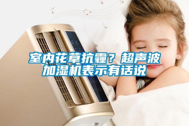 室內(nèi)花草抗霾？超聲波加濕機表示有話說