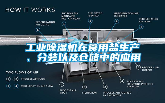 工業(yè)除濕機(jī)在食用鹽生產(chǎn)、分裝以及倉儲中的應(yīng)用