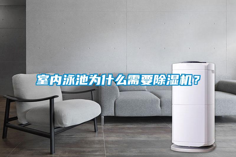 室內(nèi)泳池為什么需要除濕機？