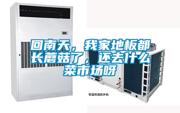 回南天，我家地板都長蘑菇了，還去什么菜市場呀
