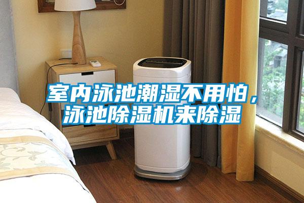 室內(nèi)泳池潮濕不用怕，泳池除濕機(jī)來除濕