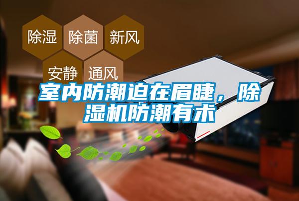室內(nèi)防潮迫在眉睫，除濕機(jī)防潮有術(shù)