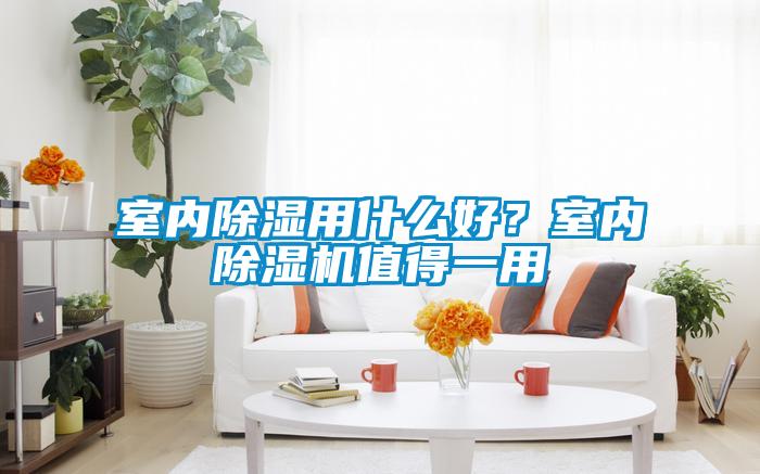 室內(nèi)除濕用什么好？室內(nèi)除濕機(jī)值得一用