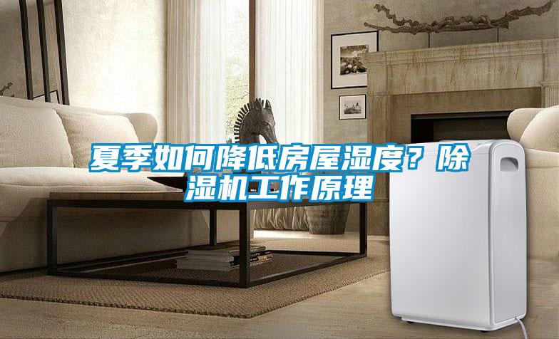 夏季如何降低房屋濕度？除濕機工作原理