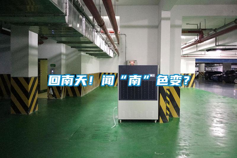 回南天！聞“南”色變？