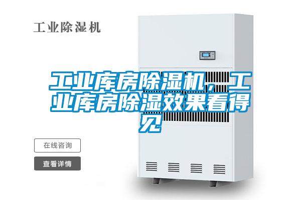 工業(yè)庫房除濕機(jī)，工業(yè)庫房除濕效果看得見