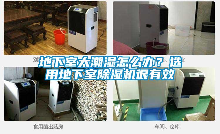 地下室太潮濕怎么辦？選用地下室除濕機很有效