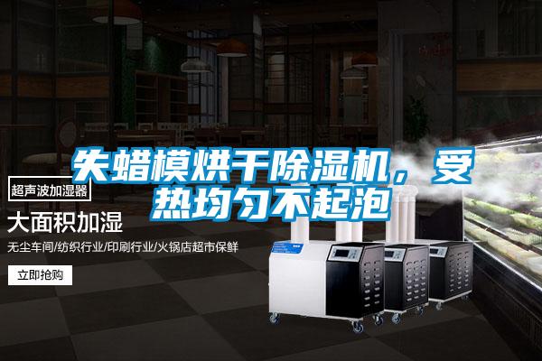 失蠟模烘干除濕機，受熱均勻不起泡