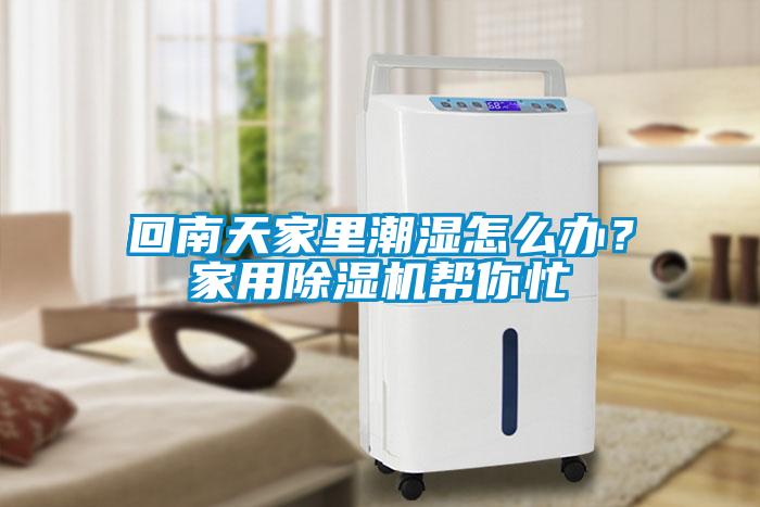 回南天家里潮濕怎么辦？家用除濕機(jī)幫你忙