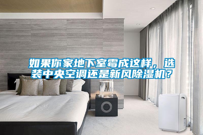 如果你家地下室霉成這樣，選裝中央空調(diào)還是新風(fēng)除濕機(jī)？