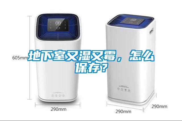 地下室又濕又霉，怎么保存？