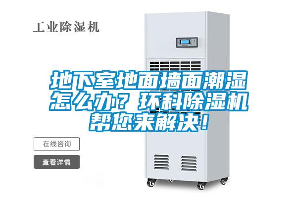 地下室地面墻面潮濕怎么辦？環(huán)科除濕機幫您來解決！