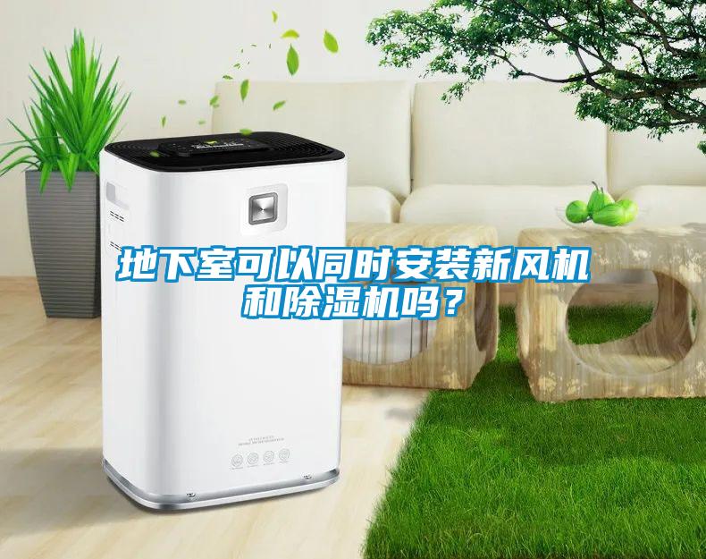 地下室可以同時安裝新風機和除濕機嗎？