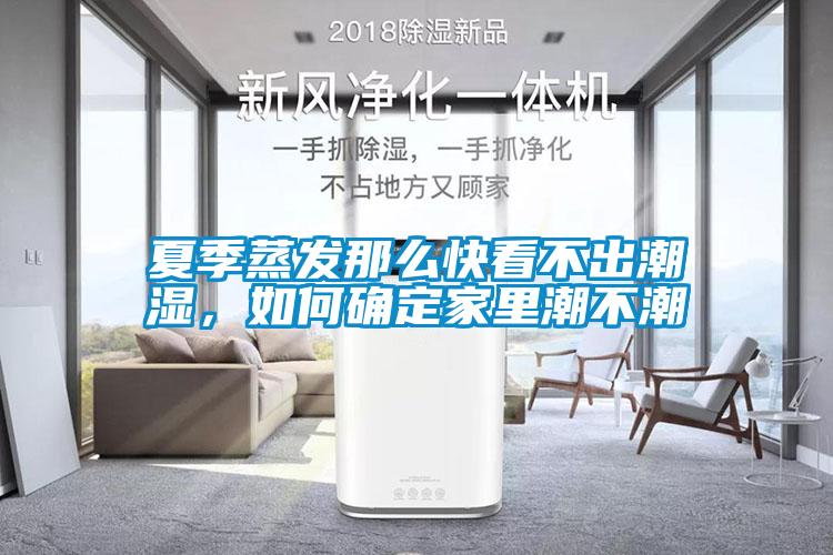 夏季蒸發(fā)那么快看不出潮濕，如何確定家里潮不潮