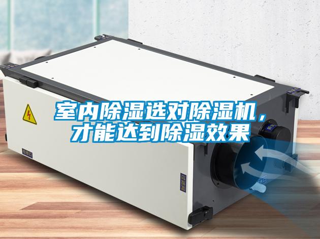 室內(nèi)除濕選對(duì)除濕機(jī)，才能達(dá)到除濕效果