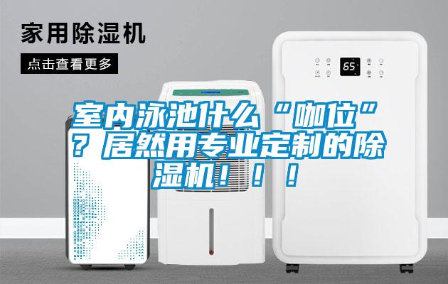 室內(nèi)泳池什么“咖位”？居然用專業(yè)定制的除濕機(jī)?。?！