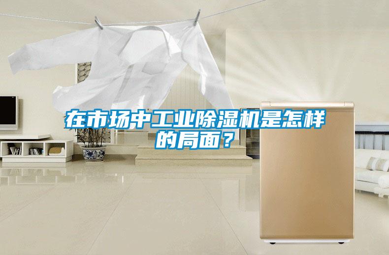 在市場中工業(yè)除濕機(jī)是怎樣的局面？