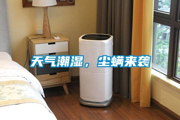 天氣潮濕，塵螨來襲