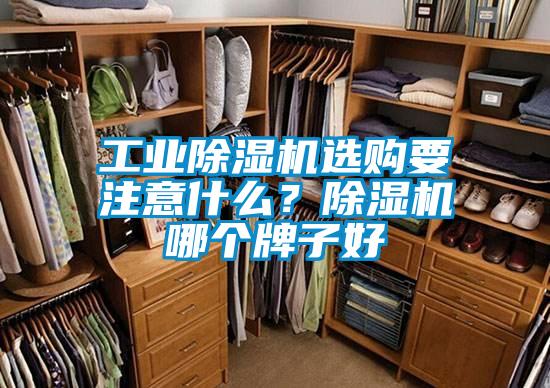 工業(yè)除濕機(jī)選購要注意什么？除濕機(jī)哪個(gè)牌子好