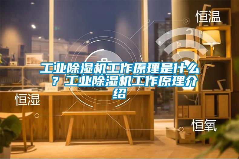 工業(yè)除濕機工作原理是什么 ？工業(yè)除濕機工作原理介紹