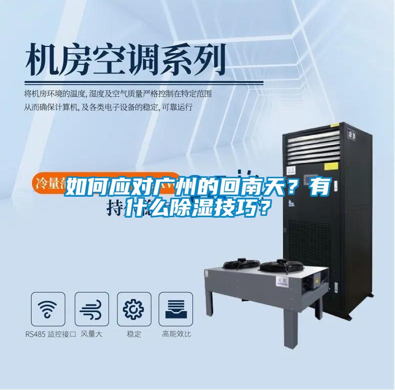 如何應對廣州的回南天？有什么除濕技巧？