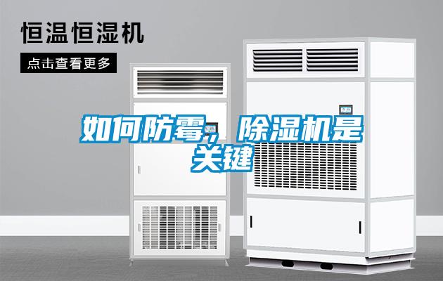 如何防霉，除濕機是關鍵