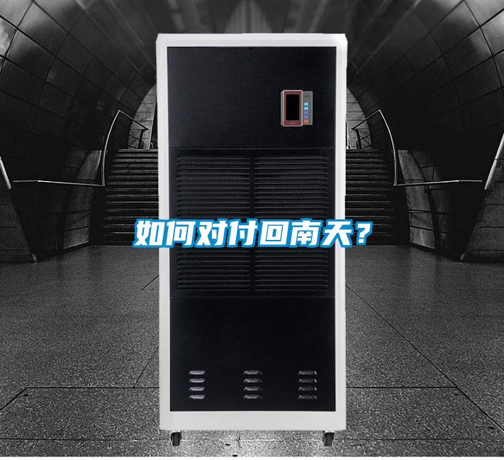 如何對付回南天？