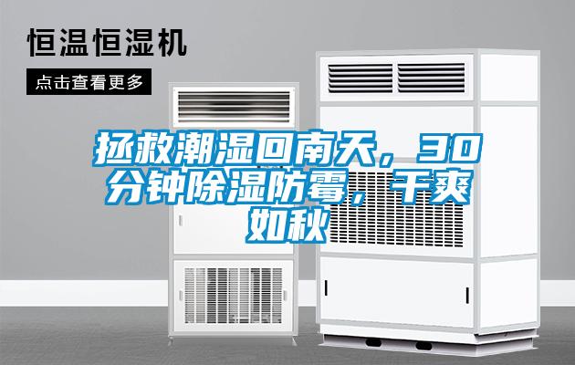拯救潮濕回南天，30分鐘除濕防霉，干爽如秋