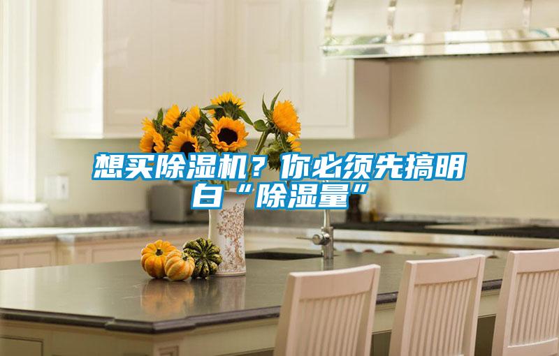想買除濕機(jī)？你必須先搞明白“除濕量”