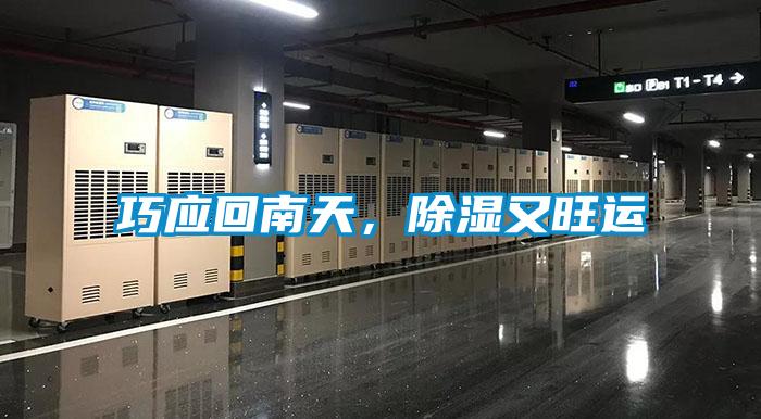 巧應(yīng)回南天，除濕又旺運