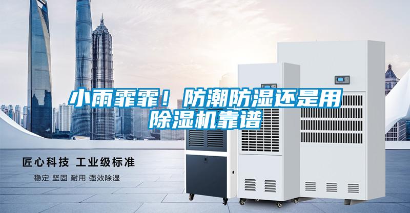 小雨霏霏！防潮防濕還是用除濕機(jī)靠譜
