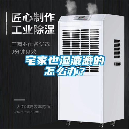 宅家也濕漉漉的怎么辦？