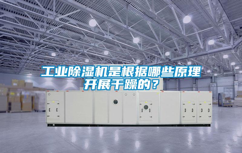 工業(yè)除濕機(jī)是根據(jù)哪些原理開(kāi)展干躁的？