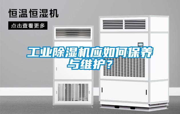 工業(yè)除濕機(jī)應(yīng)如何保養(yǎng)與維護(hù)？
