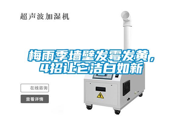 梅雨季墻壁發(fā)霉發(fā)黃，4招讓它潔白如新