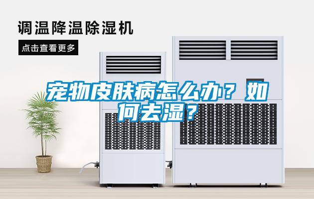 寵物皮膚病怎么辦？如何去濕？